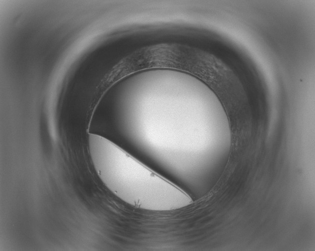 X0000057580093200509231303