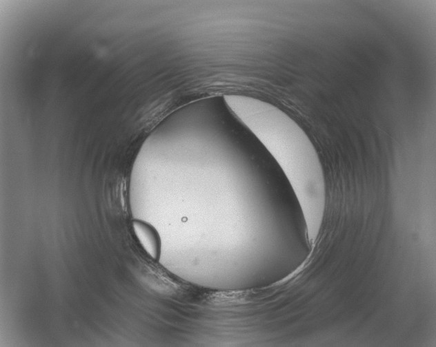 X0000057580094200509231303