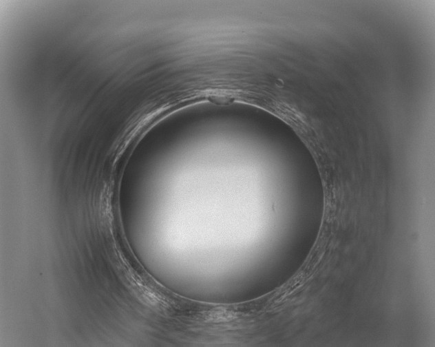 X0000057580098200509231302