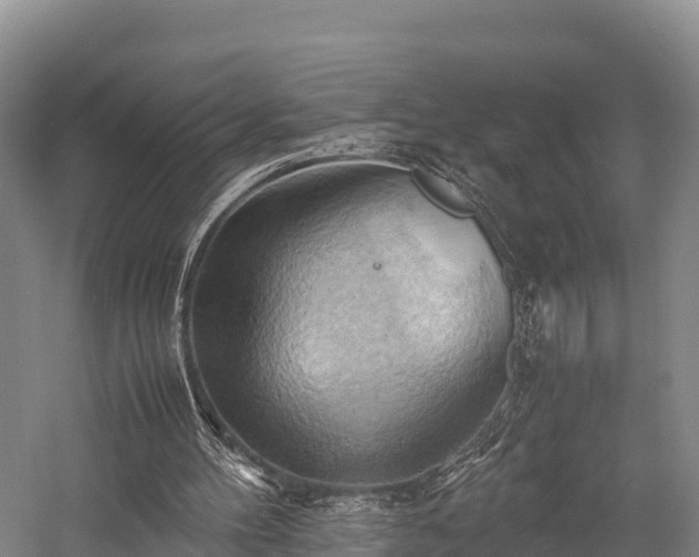 X0000057580100200509231302