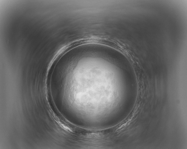 X0000057580102200509231302