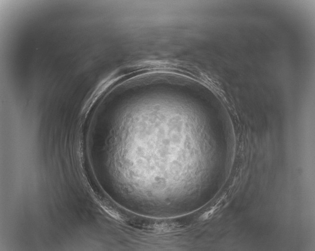 X0000057580103200509231302