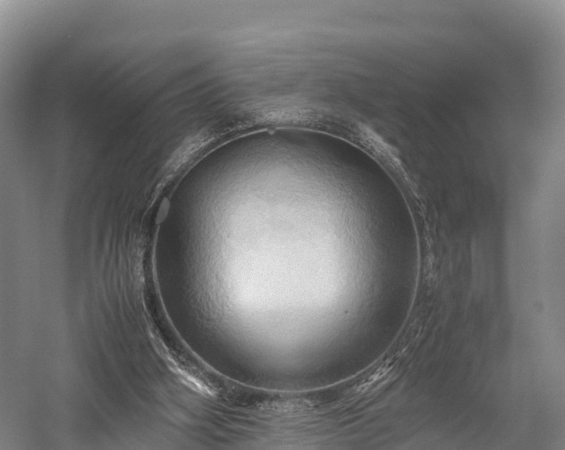 X0000057580106200509231302