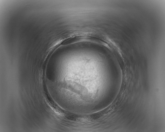 X0000057580107200509231302