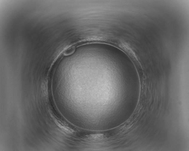 X0000057580108200509231302