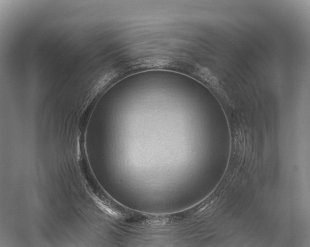 X0000057580110200509231302