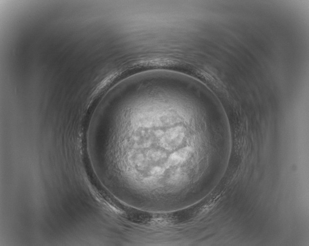 X0000057580111200509231302