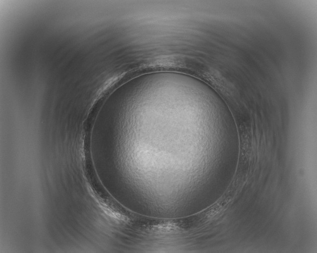 X0000057580112200509231302