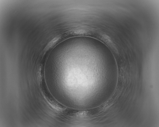 X0000057580116200509231302