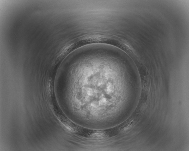 X0000057580119200509231302