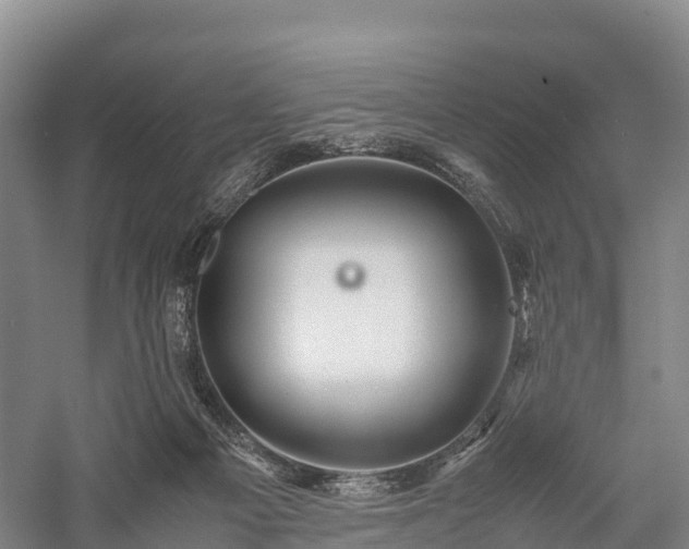 X0000057580121200509231302