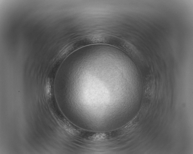 X0000057580124200509231302