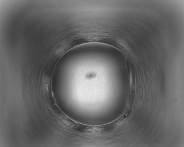 X0000057580125200509231302