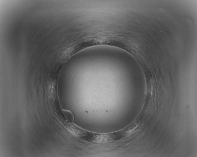 X0000057580127200509231302