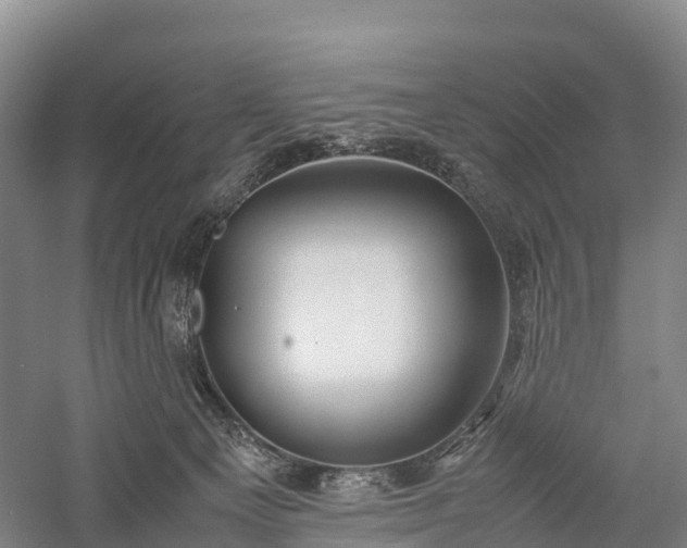 X0000057580129200509231302