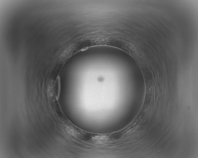 X0000057580133200509231301