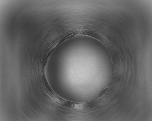 X0000057580134200509231301