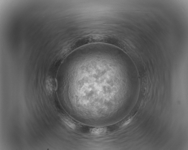 X0000057580135200509231301