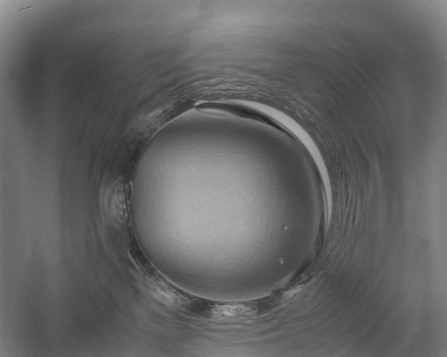 X0000057580137200509231301