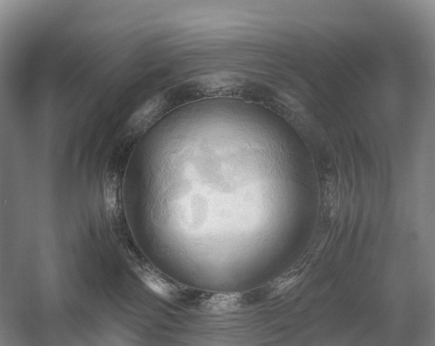 X0000057580138200509231301