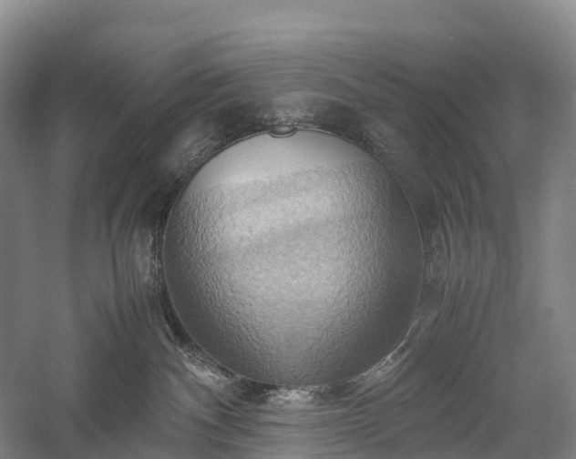 X0000057580140200509231301