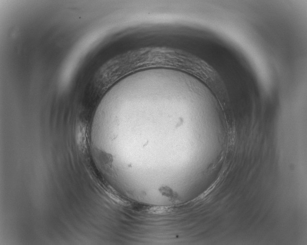 X0000057580142200509231301