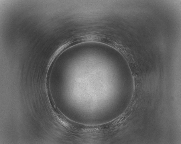 X0000057580147200509231300