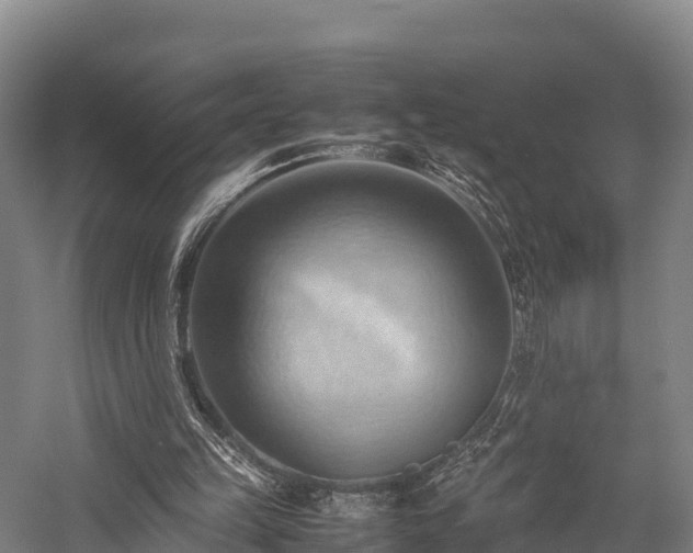 X0000057580149200509231301