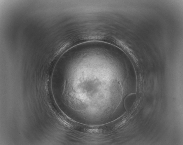 X0000057580153200509231301