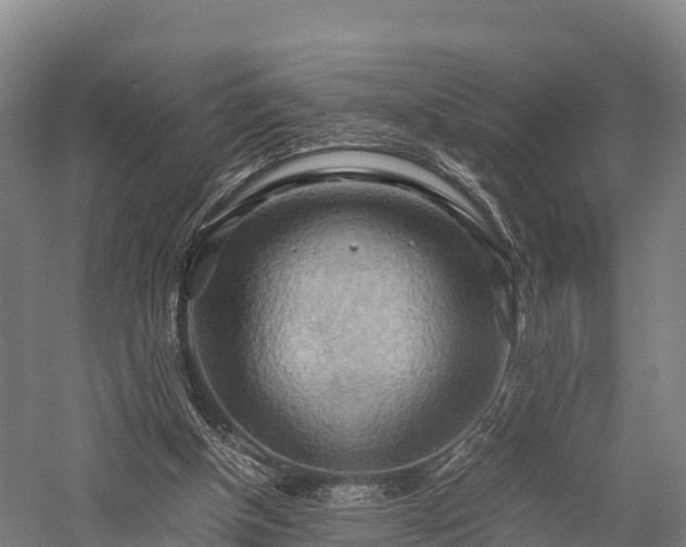 X0000057580154200509231301