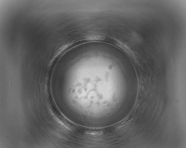 X0000057580155200509231301