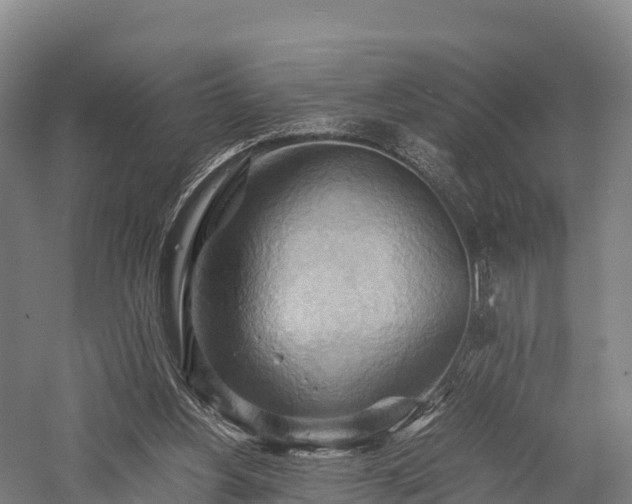 X0000057580156200509231301