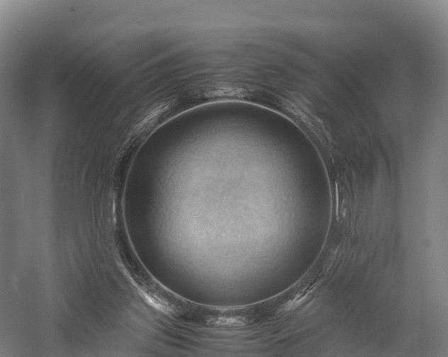 X0000057580157200509231301