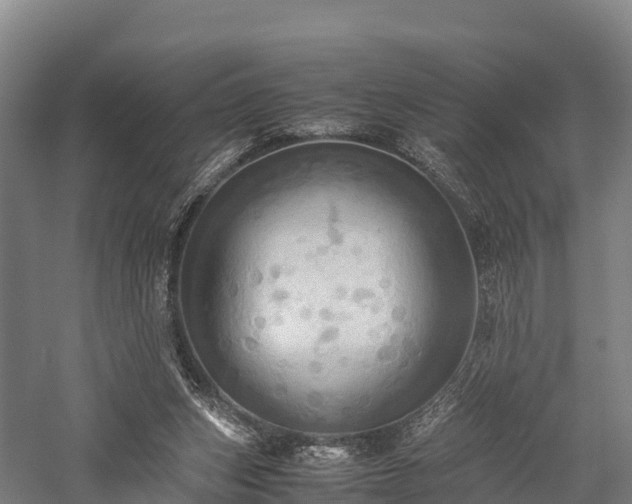 X0000057580159200509231301