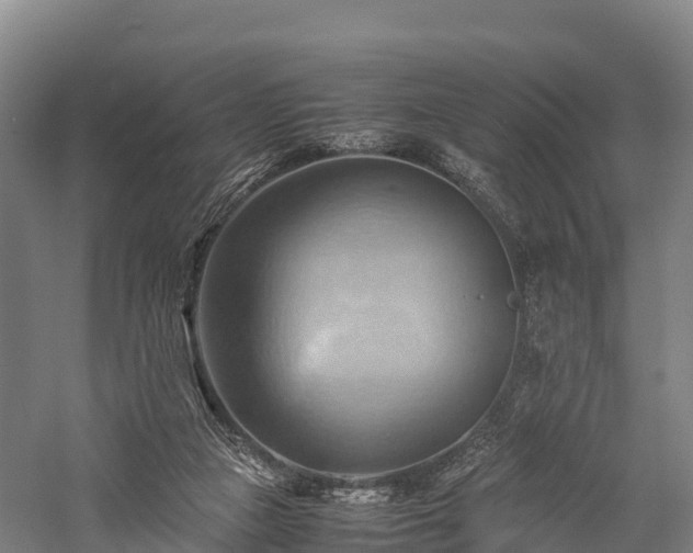 X0000057580161200509231301