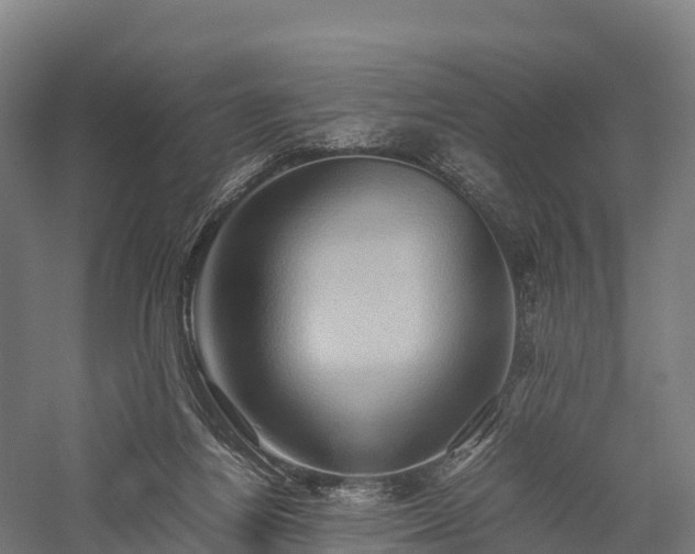 X0000057580164200509231301