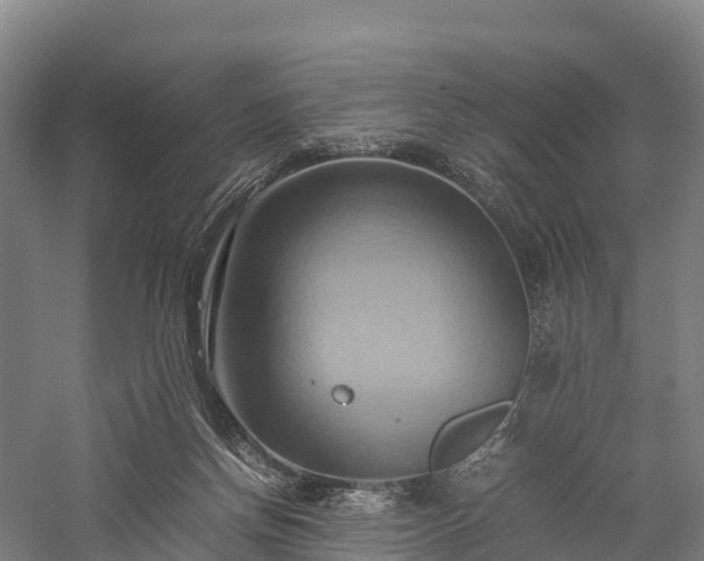 X0000057580166200509231301