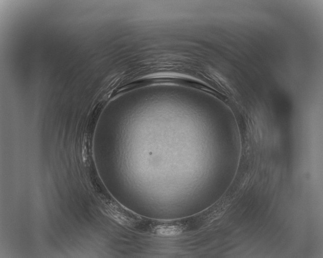 X0000057580169200509231301