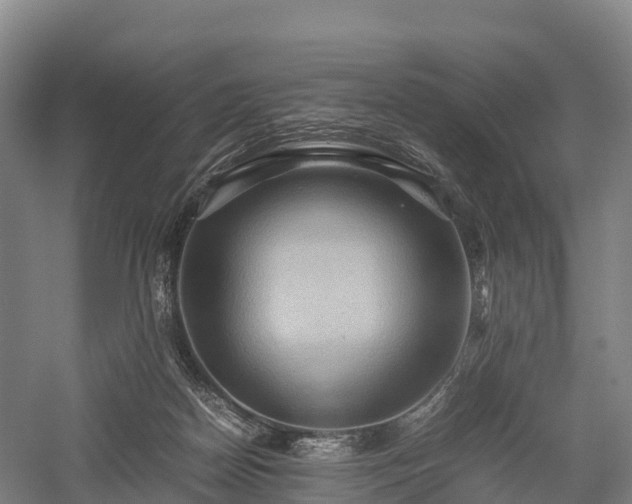 X0000057580170200509231301