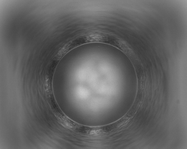 X0000057580173200509231301