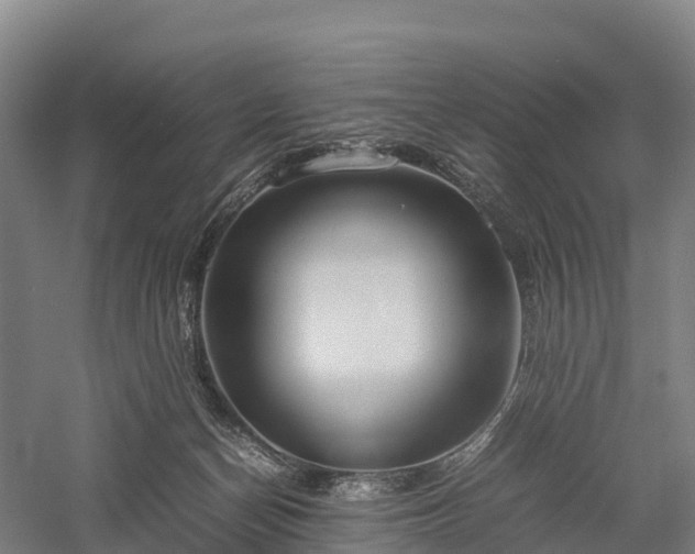 X0000057580174200509231301