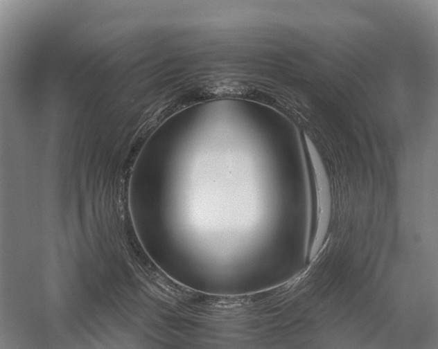 X0000057580175200509231301