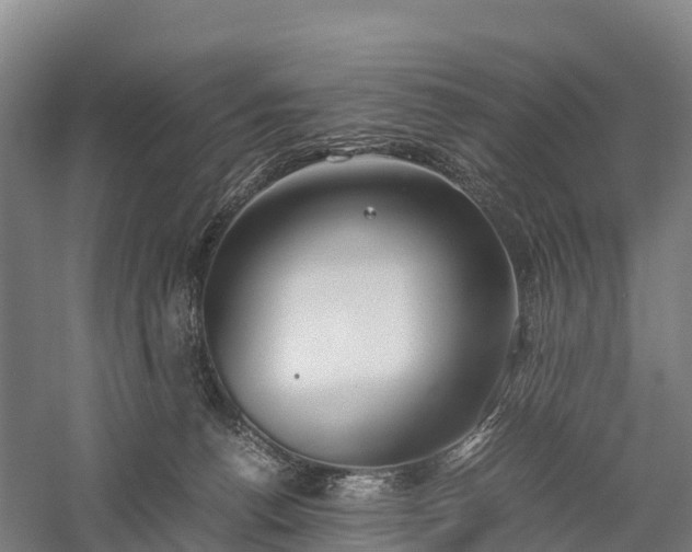 X0000057580176200509231301