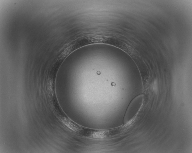 X0000057580178200509231301