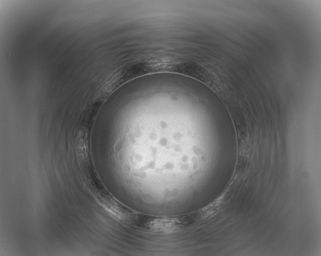 X0000057580179200509231301