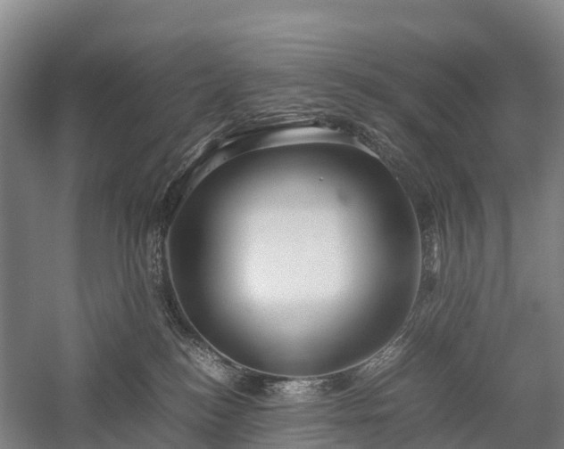 X0000057580184200509231301