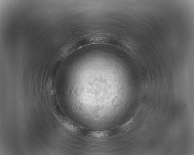 X0000057580187200509231301