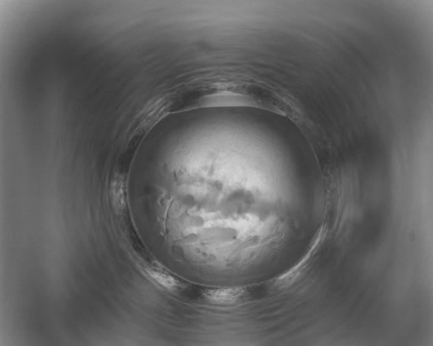 X0000057580191200509231301