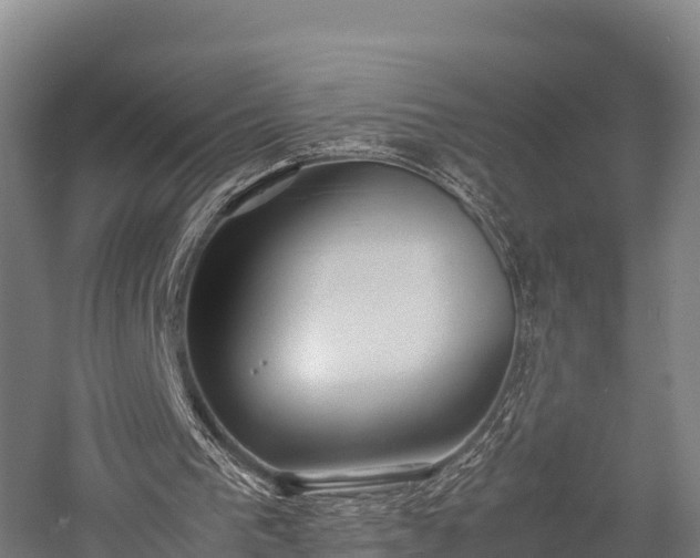 X0000057580193200509231300