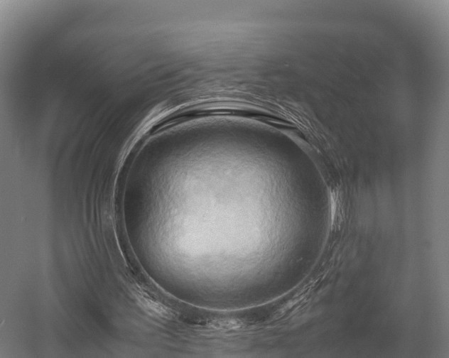 X0000057580195200509231300